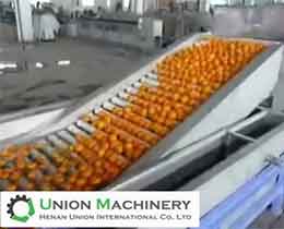 Fruit Washing Waxing, Drying and Sorting Lines