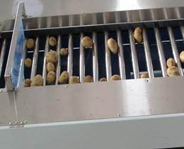 roller type  fruit and vegetable sorting machine
