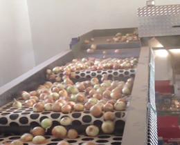 fruits and vegetables size sorting machine