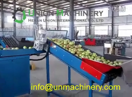 computer controlled fruit and vegetable sorting machine