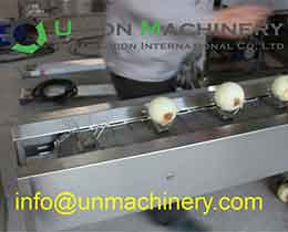 onion ends cutting machines