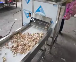 garlic separating machines
