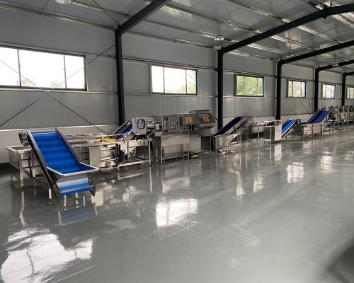 Apple slicing production line