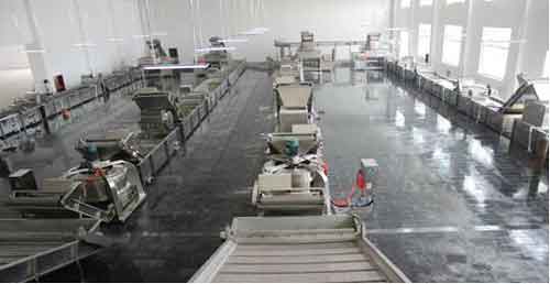 Garlic Processing Line