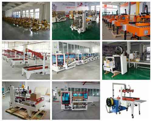 automatic carton packing line manufacturers