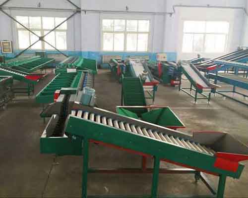 ellipse type sorting machine manufacturers