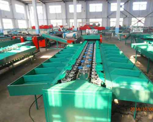 fruit and vegetable sorting machine
