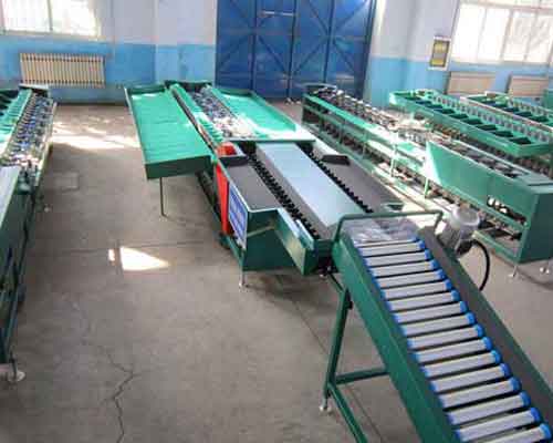 fruit and vegetable sorting machine manufacturers