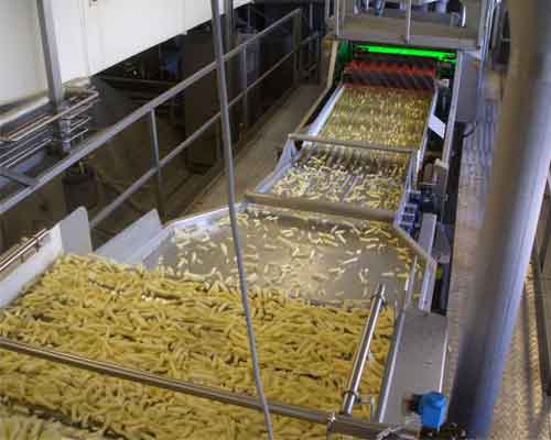 fruit vegetable washing drying lines