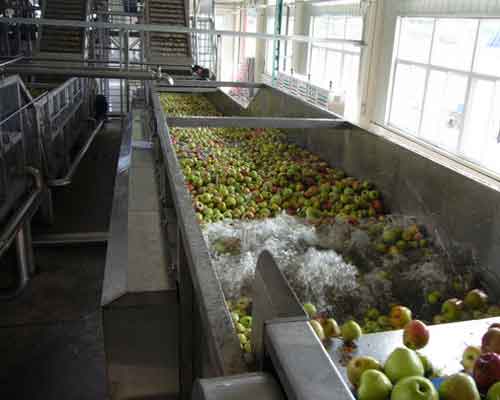 fruit washing drying line
