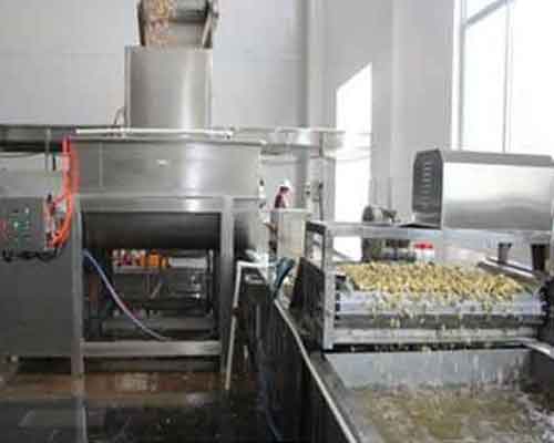 garlic peeling machine