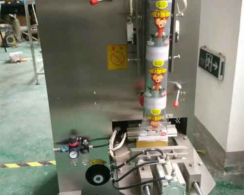 Chain Bucket Granule Packing Machine