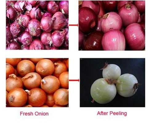onion peeling machines