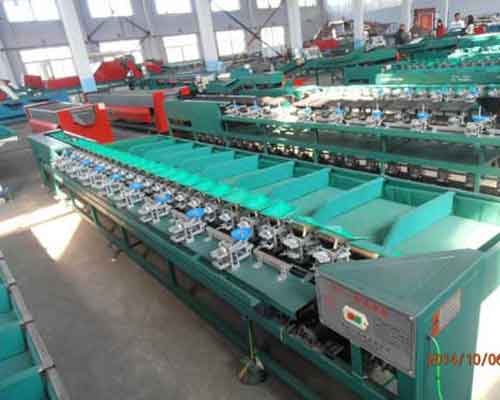 straight line type sorting machine for fruit and vegetable manufacturers