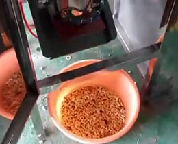 cashew nut peeling machine