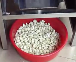garlic peeling machine