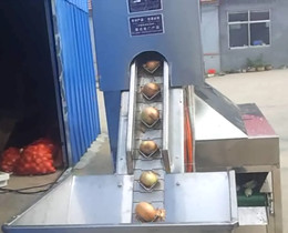 onion peeling machine