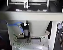 potato packing machines