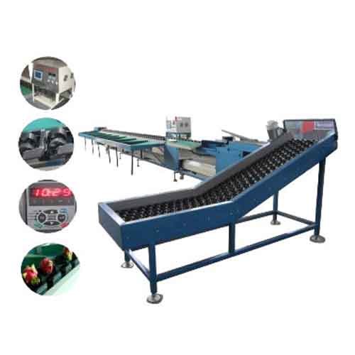 Computer Controlled Fruits and Vegetable Sorting Machine