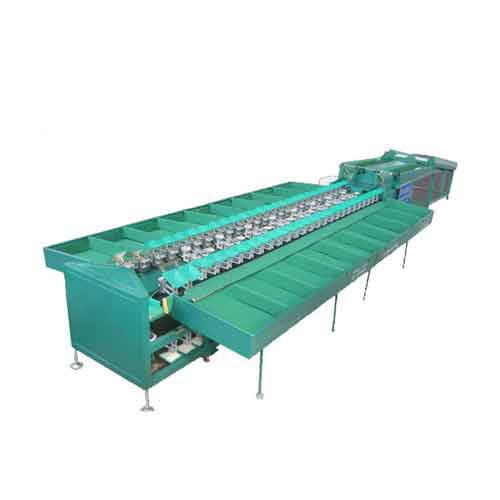 Double Line Type Fruits and Vegetable Sorting Machine