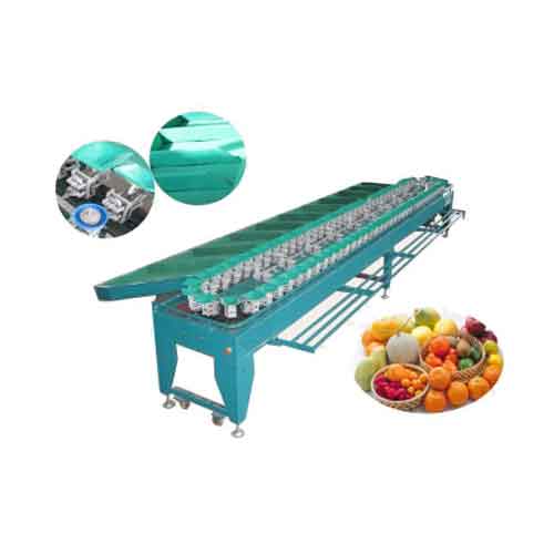 Ellipse Type Fruits and Vegetable Sorting Machine