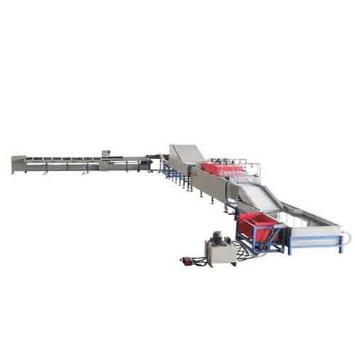 Fruit Washing Waxing, Drying and Sorting Line