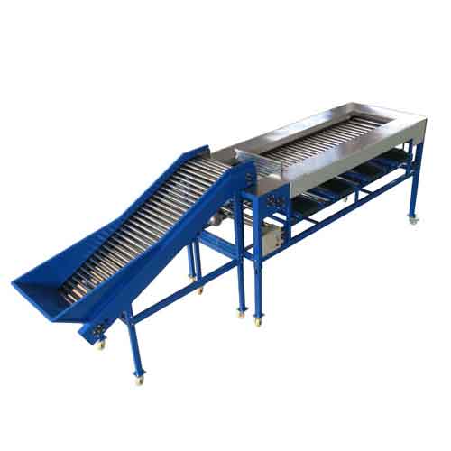 Fruits and Vegetable Roller Type Sorting Machine