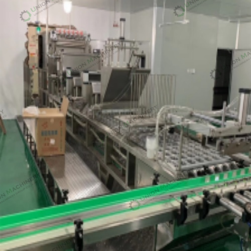 New Year's Gift for Syrian Customers: Cup Filling and Sealing Machine