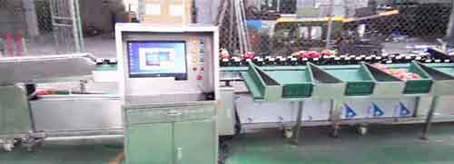 Electronic weighing type grading machine