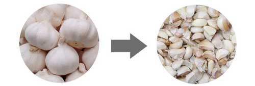 Garlic separating machine effect