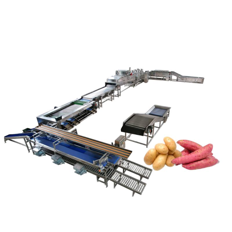 【Success Case】Delivery of Potato Grading and Sorting Production Line in Indonesia