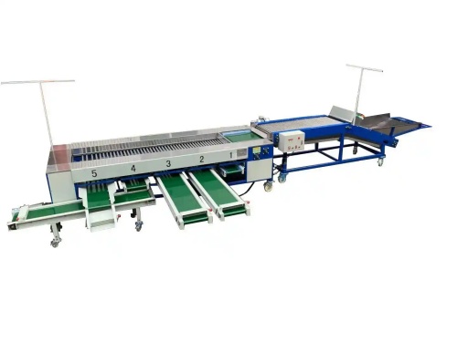 Successful Case of Tomato Processing Factory in Thailand