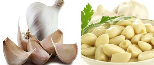 garlic peele machine for sale